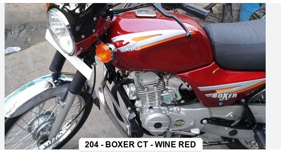 SIDE PANEL - BOXER CT - WINE RED