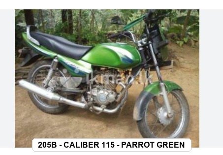 SIDE PANEL - CALIBER 115 - PARROT GREEN