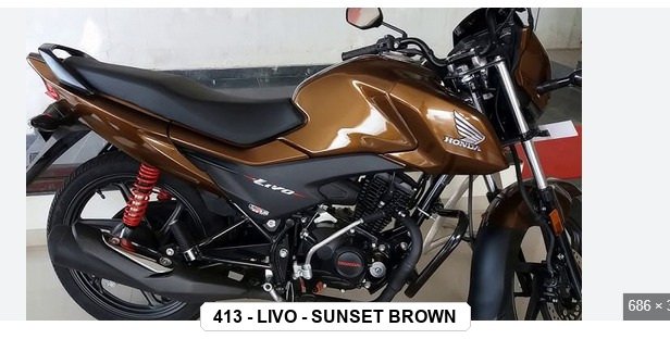 F.MUDGUARD - LIVO - SUNSET BROWN