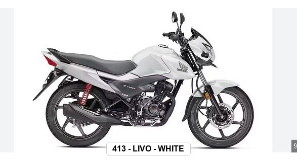 F.MUDGUARD - LIVO - WHITE