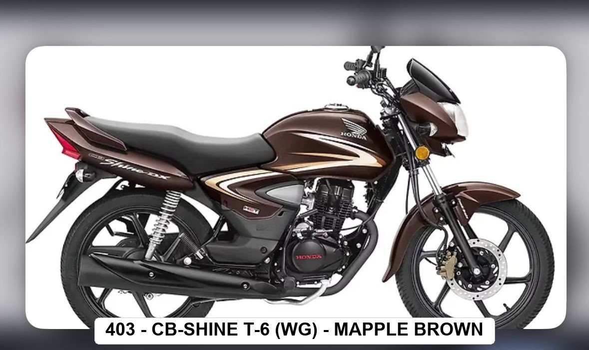 SIDE PANEL - CB-SHINE T-6 (W/G) - MAPPLE BROWN
