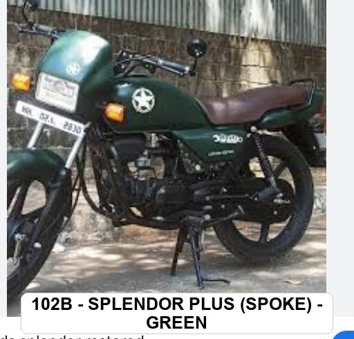 F.MUDGUARD - SPLENDOR PLUS (SPOKE) - GREEN