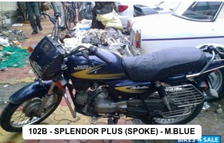 F.MUDGUARD - SPLENDOR PLUS (SPOKE) - M.BLUE