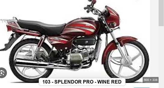 SIDE PANEL - SPLENDOR PRO - WINE RED
