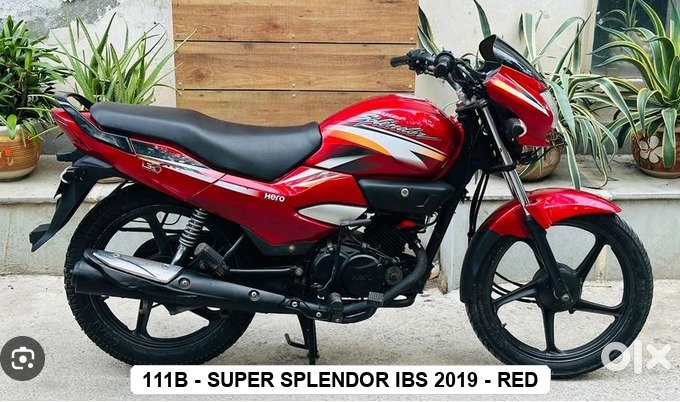 F.MUDGUARD - SUPER SPLENDOR IBS 2019 - RED