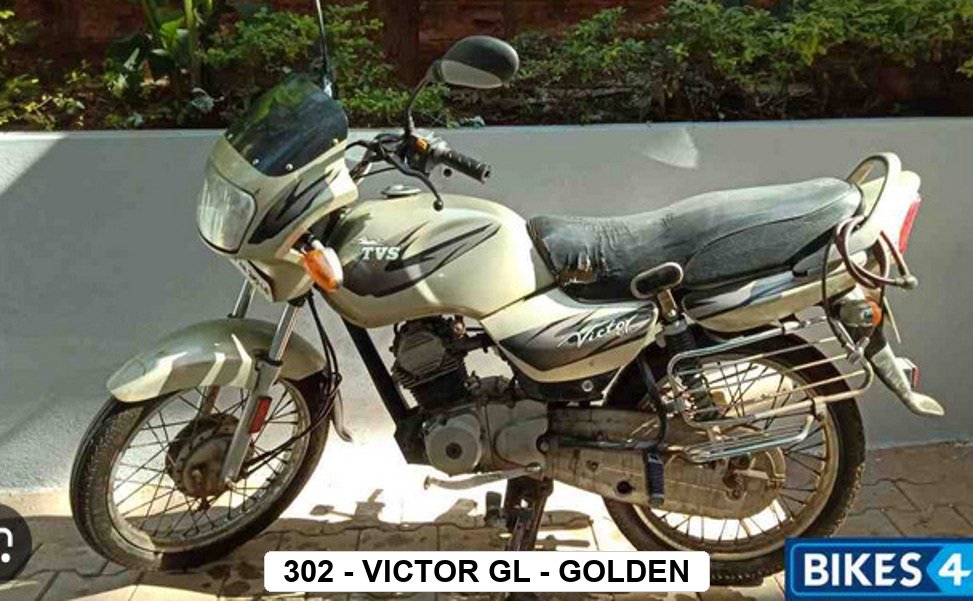 F.MUDGUARD - VICTOR GL - GOLDEN